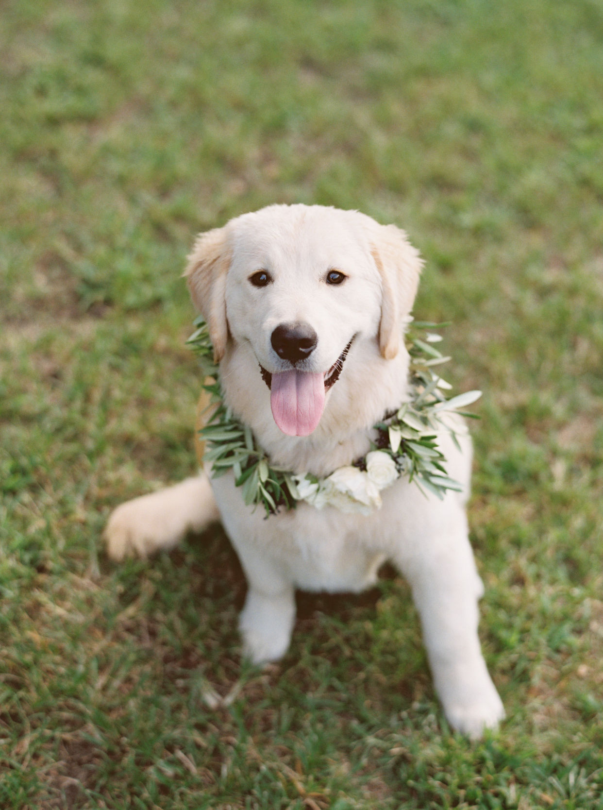 View More: http://simplysarah.pass.us/morgan-daniel-wedding (copy)